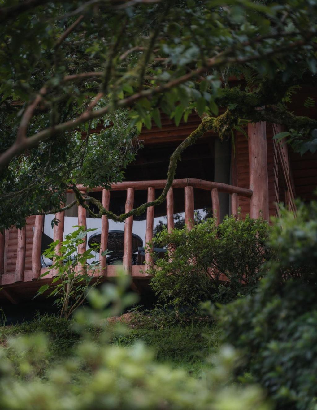 Cedrela Eco-Lodge & Restaurante Copey Exterior photo