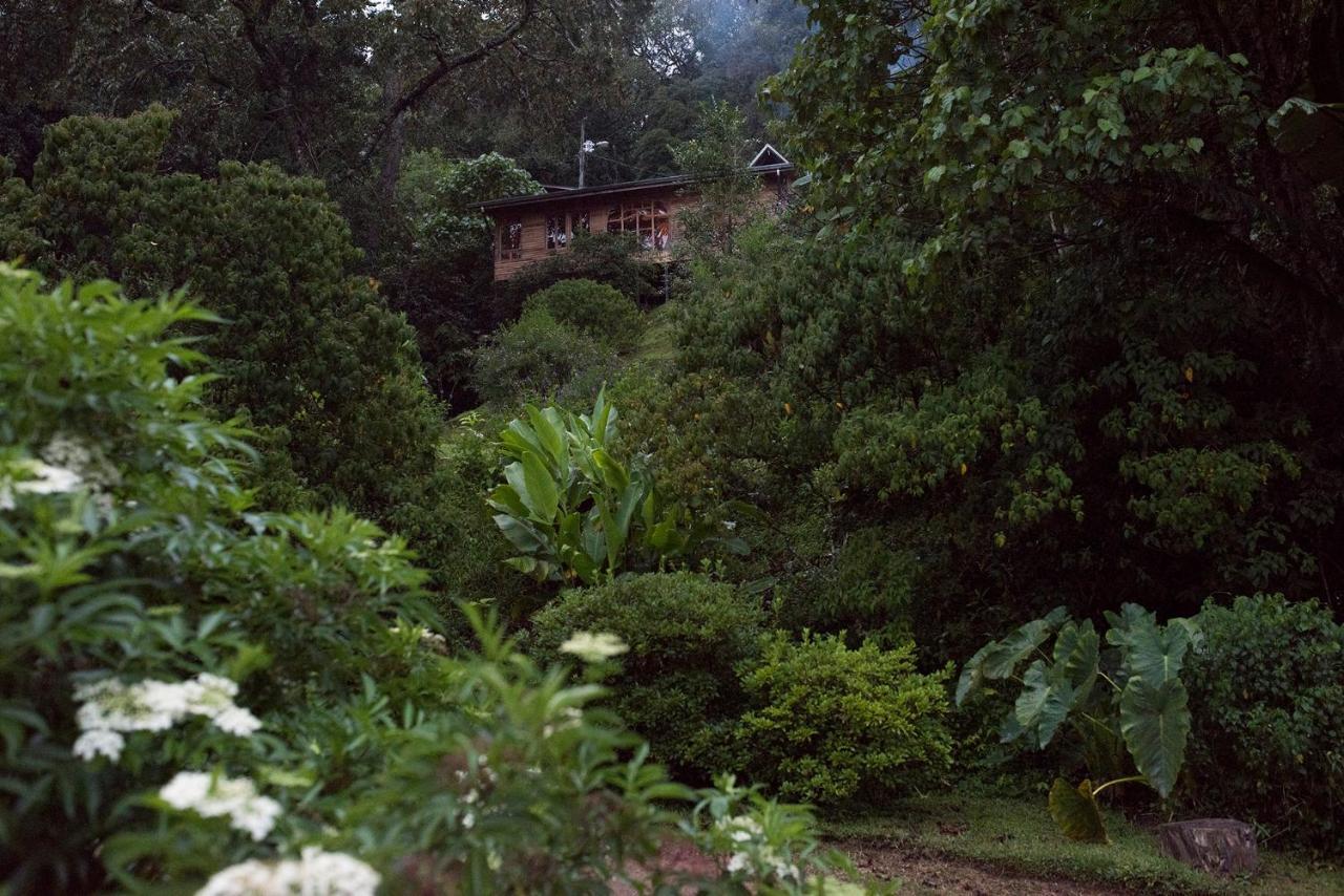 Cedrela Eco-Lodge & Restaurante Copey Exterior photo